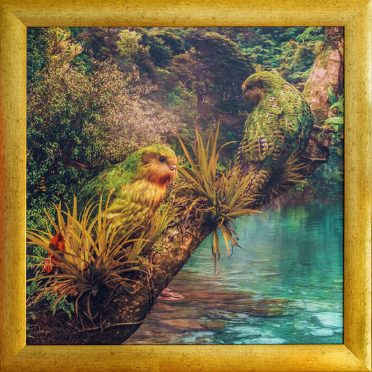 Metal print of two kakapo