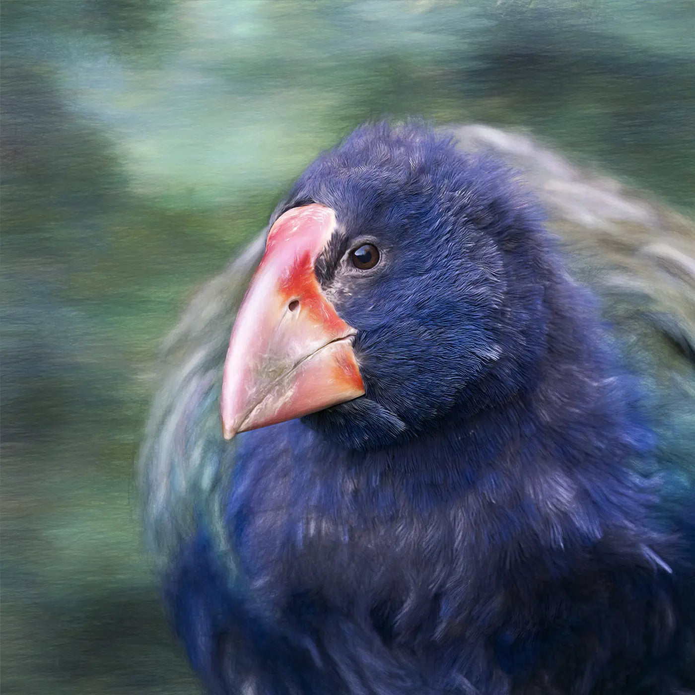 takahē artwork