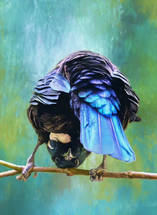 A quirky bird perched on a branch in a downward dog position