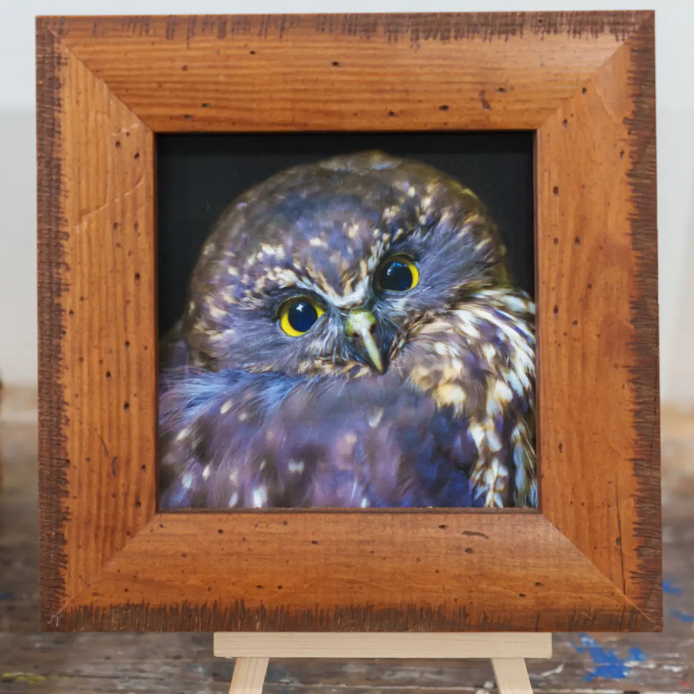 framed tinyart work of an owl