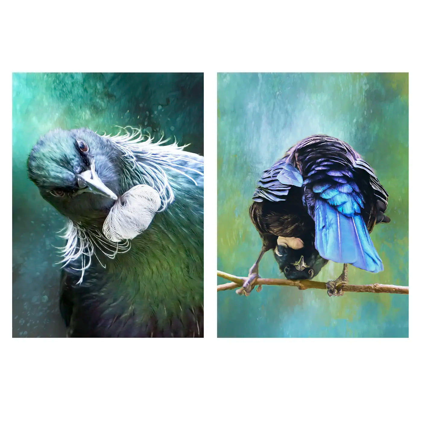 Quirky tūī duo - fine art prints