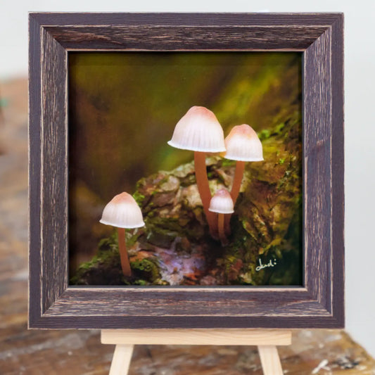 Framed TinyArt