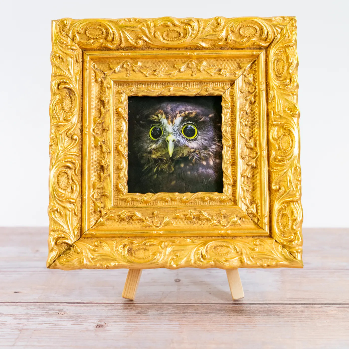 Framed TinyArt